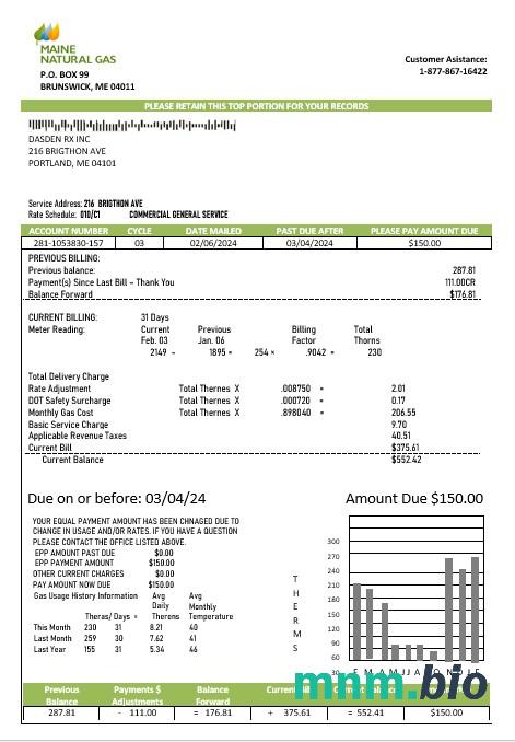 USA Maine gaz ziemny Portland rachunek za usługi komunalne szablon w formacie Word i PDF
